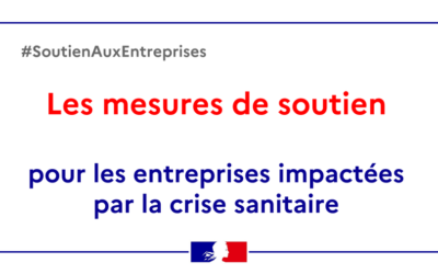 ACCOMPAGNEMENT ÉCONOMIQUE DE L’ÉTAT POUR LES ENTREPRISES AFFECTÉES PAR LA REPRISE ÉPIDÉMIQUE