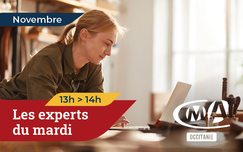 Webinaires novembre : les experts du mardi